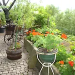 Appartement éclat De Soleil Beblenheim