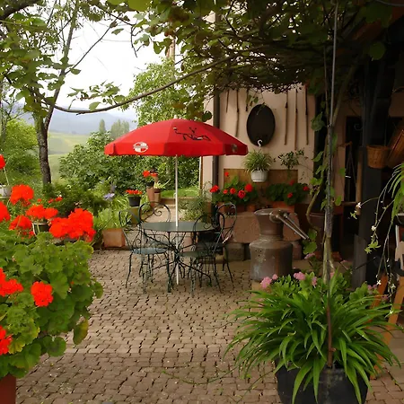 Apartament Eclat De Soleil Beblenheim