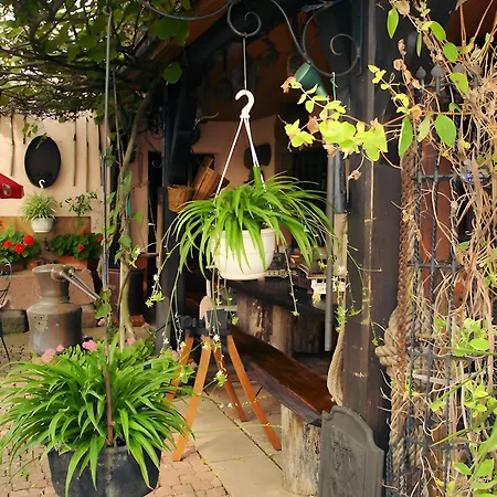 Eclat De Soleil Lejlighed Beblenheim