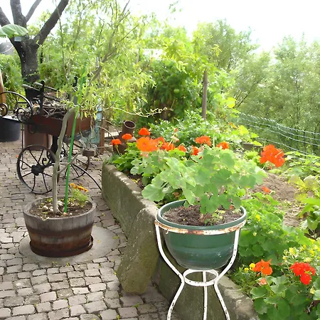 Apartament Eclat De Soleil Beblenheim