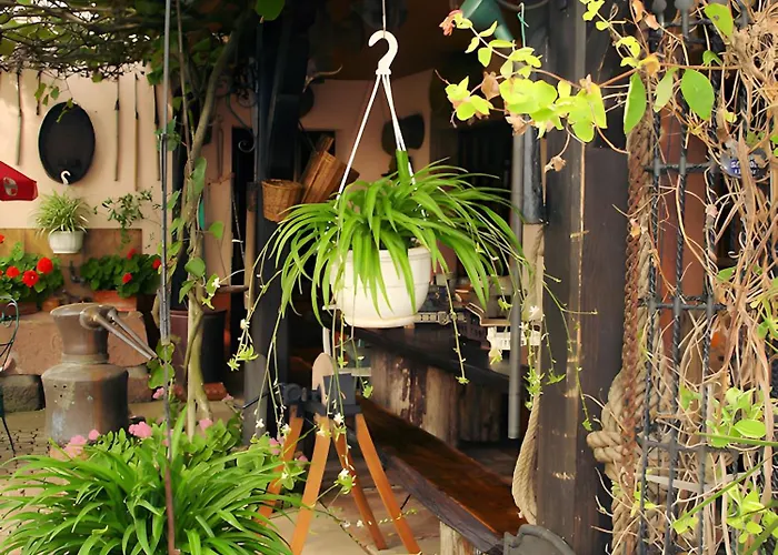 Eclat De Soleil Lejlighed Beblenheim