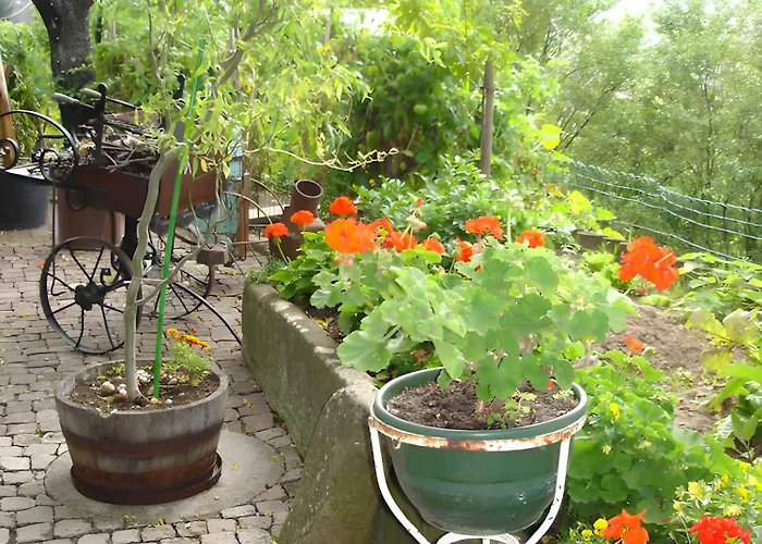 Apartamento éclat De Soleil Beblenheim